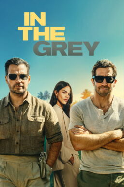 In the Grey - 2026
