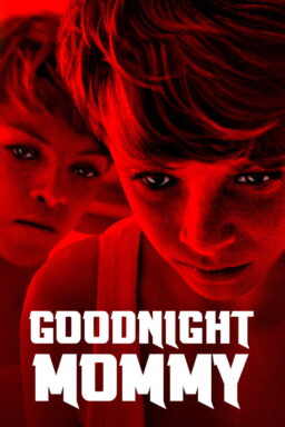 Goodnight Mommy - 2014