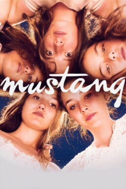 Mustang - 2015