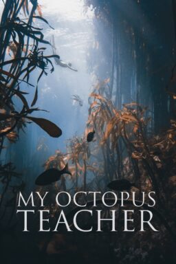 My Octopus Teacher - 2020