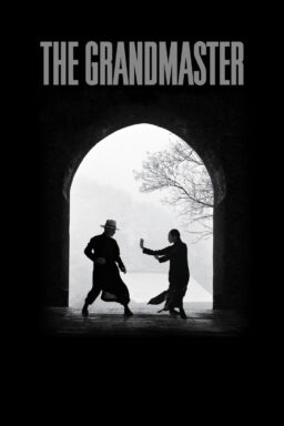 The Grandmaster - 2013