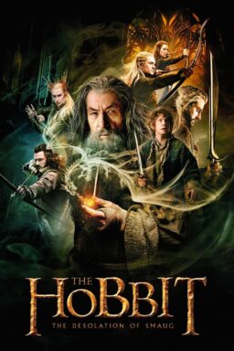 The Hobbit: The Desolation of Smaug - 2013