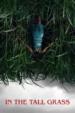 In the Tall Grass - 2019