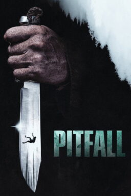 Pitfall - 2025
