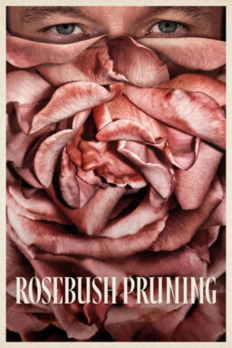 Rosebush Pruning - 2026