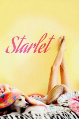 Starlet - 2012